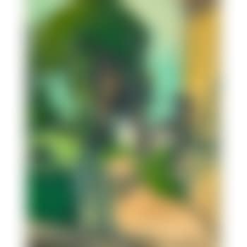 North (preview)
