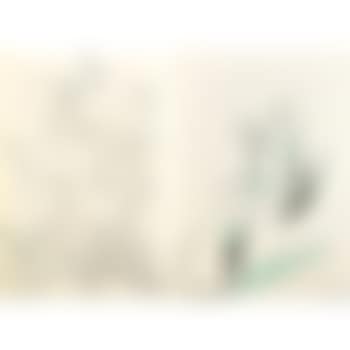 Untitled (Botanicals) (preview)