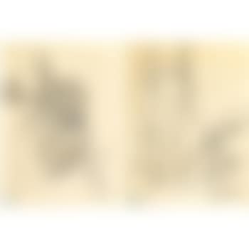 Untitled (Landscapes) (preview)
