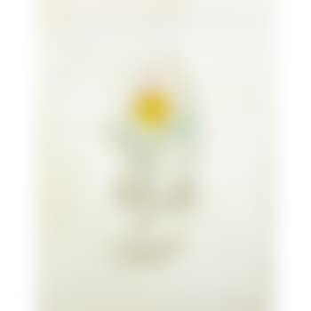 Flower (preview)