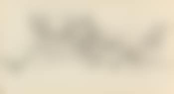Ford Holiday Greeting Card, preliminary illustration (preview)