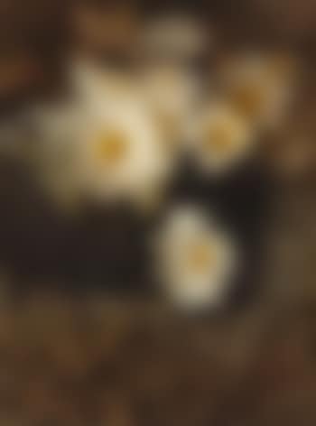 Water Lilies (preview)