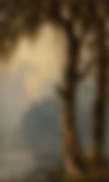 Louisiana landscape (preview)