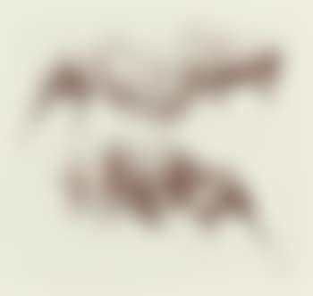 Study of Bull Moose (preview)