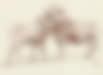 Study of Bighorns (preview)