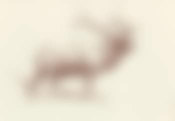 Study of Elk (preview)