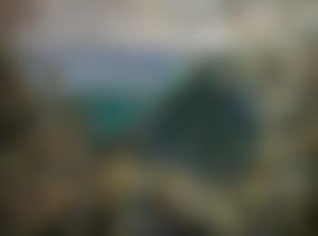 Canyon Gorge from Springbrook (preview)