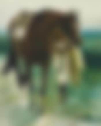 Pferd und Reiter (preview)