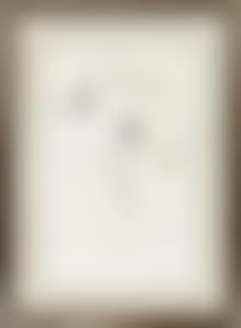 Confrontation and separation #85317 (preview)