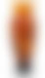 Vase (preview)