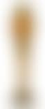 Vase (preview)