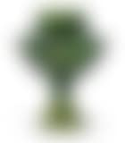 Internally decorated  vase (preview)