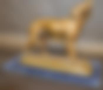 A standing pointer sniffing the air (preview)