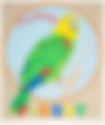 Parrot (from the Decade portfolio) (preview)