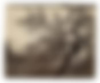 Arbre fleurs 1178 (preview)