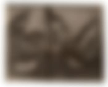 Livre d'orinthologie ouvert (preview)