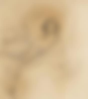 A study of a woman sitting on a bed (preview)