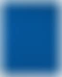 16 Ovali Blu (preview)