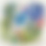Welt des Wachstums (preview)