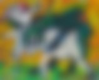 O.T. (Kopulierende Ziegen) (preview)