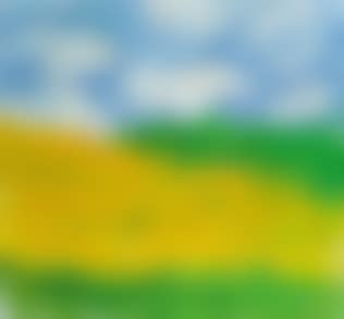 Parndorfer Heide (preview)