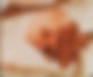 Kopf eines Greises (preview)
