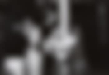 Untitled (from the series: Brooklyn Gang) (preview)