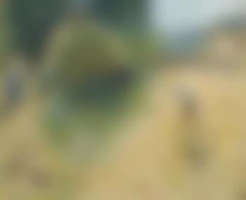 La fenaison (preview)