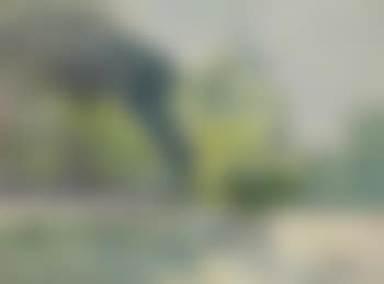 Allée bordée d'arbres (preview)