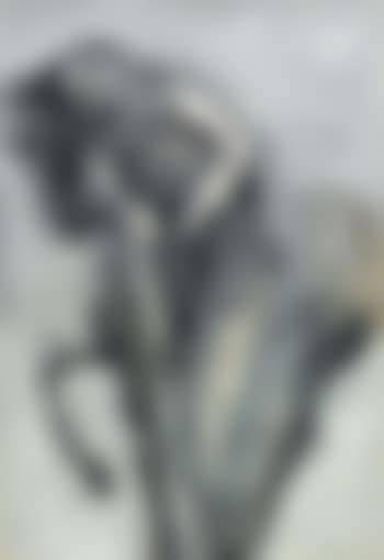 Giocoliere e Cavallo (preview)