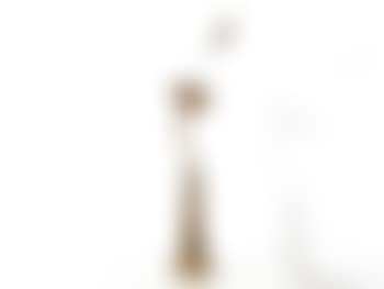 Fleur (preview)