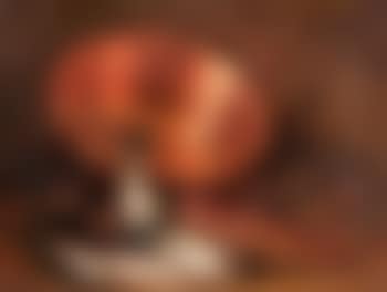 La préparation de la bouillabaisse (preview)