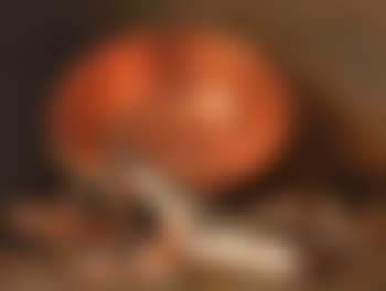 Nature morte aux poissons (preview)