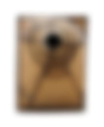 Untitled (preview)