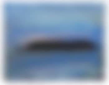 Near the cove (preview)
