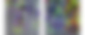 Untitled (Trauben) (preview)