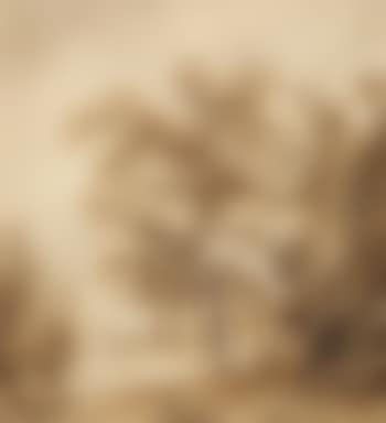 A Park landscape near Apeldoorn (preview)