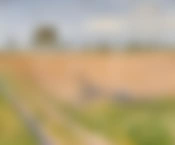 A landscape with Plough in the Summer (preview)