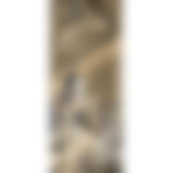 A woman leaning on a veranda admiring the tanabata kazari (decorations for the Star Festival on the seventh day of the seventh month) tied on bamboo branches, a man standing on the roof below, pointing out to her the Milky Way (preview)