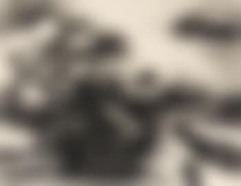 Nageuse (preview)