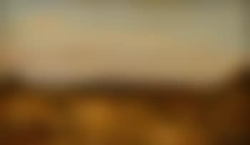 Paysage du Berri (preview)