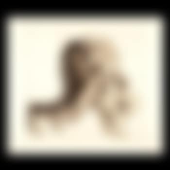 Figures with skeleton (preview)