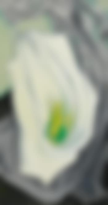 White Calla Lily (preview)