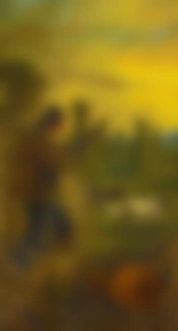 Hunter with two Dogs in Cornfield (preview)