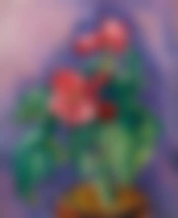 Pink Begonias (Still Life: Pink Begonia) (preview)