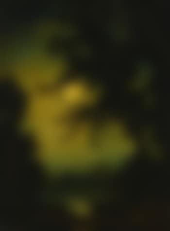 Stilly Night (preview)