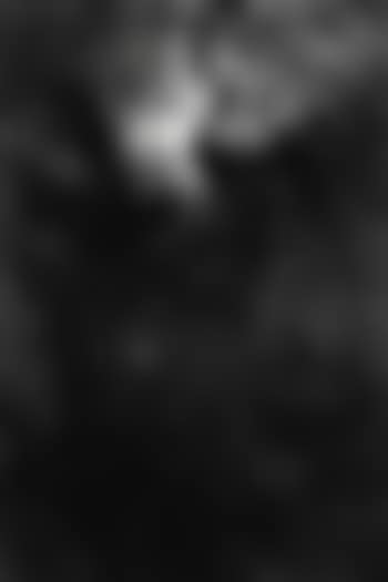 Stern 16h 30m/-50° (preview)