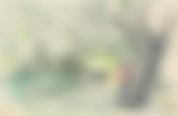 Gardasee (preview)