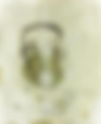 Gesicht (preview)