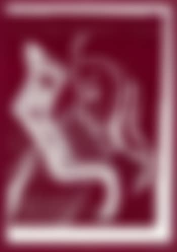 Doppelprofil (preview)